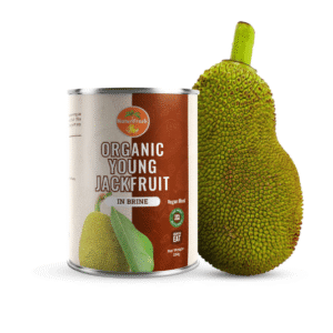 Organic Young Jackfruit in Brine - 400g